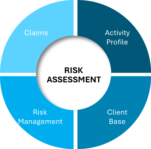 Diagram of PI insurance risk assessment